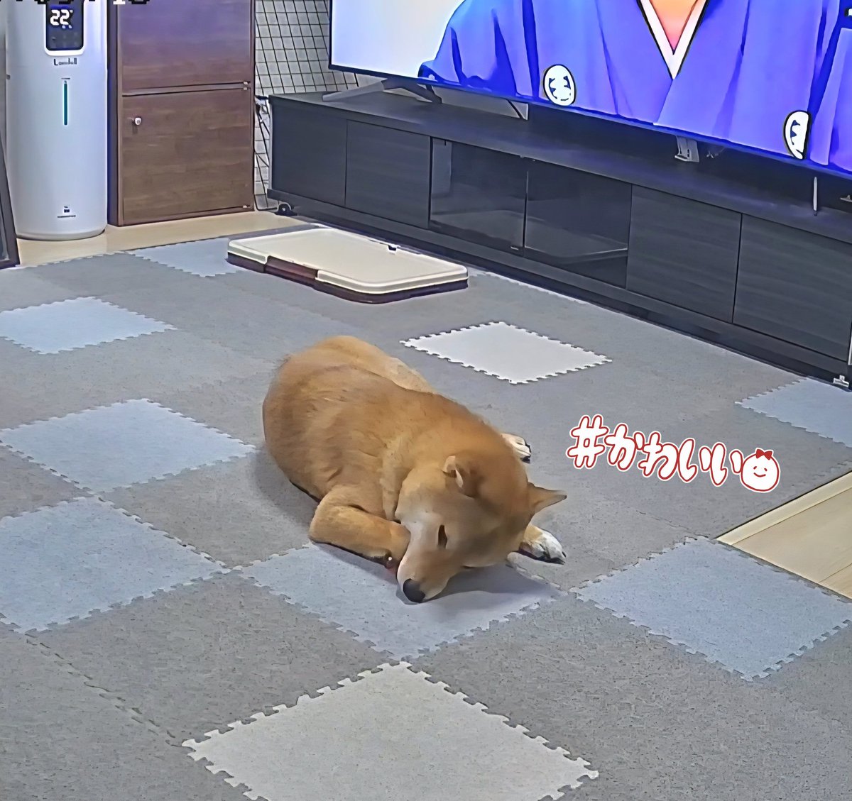 欲しい株コメント下さい【引退品】 全部タグ付き②日曜日までです。 60代女性が100万円のSNS型投資詐欺被害 広告見て「自分も株の投資を