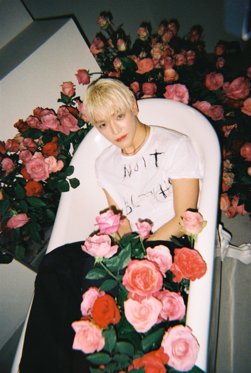 แทยงจะปลดประจำการจากกองทัพเรือในเช้าวันที่ 14 นี้

แทยงซึ่งเข้ารับราชการในกองทัพเรือเมื่อวันที่ 15 เมษายนปีที่แล้ว ได้ปฏิบัติหน้าที่เป็นทหารประชาสัมพันธ์ด้านวัฒนธรรมในหน่วยประชาสัมพันธ์ของกองเกียรติยศวงดนตรีทหาร

ในขณะที่เข้ารับราชการ แทยงกล่าวว่า “เพราะทุกคนและสมาชิกในวง