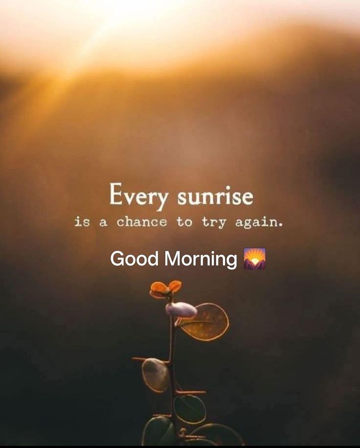 lotter_chr47028's tweet photo. Good morning... https://t.co/s1Pu38rQP8