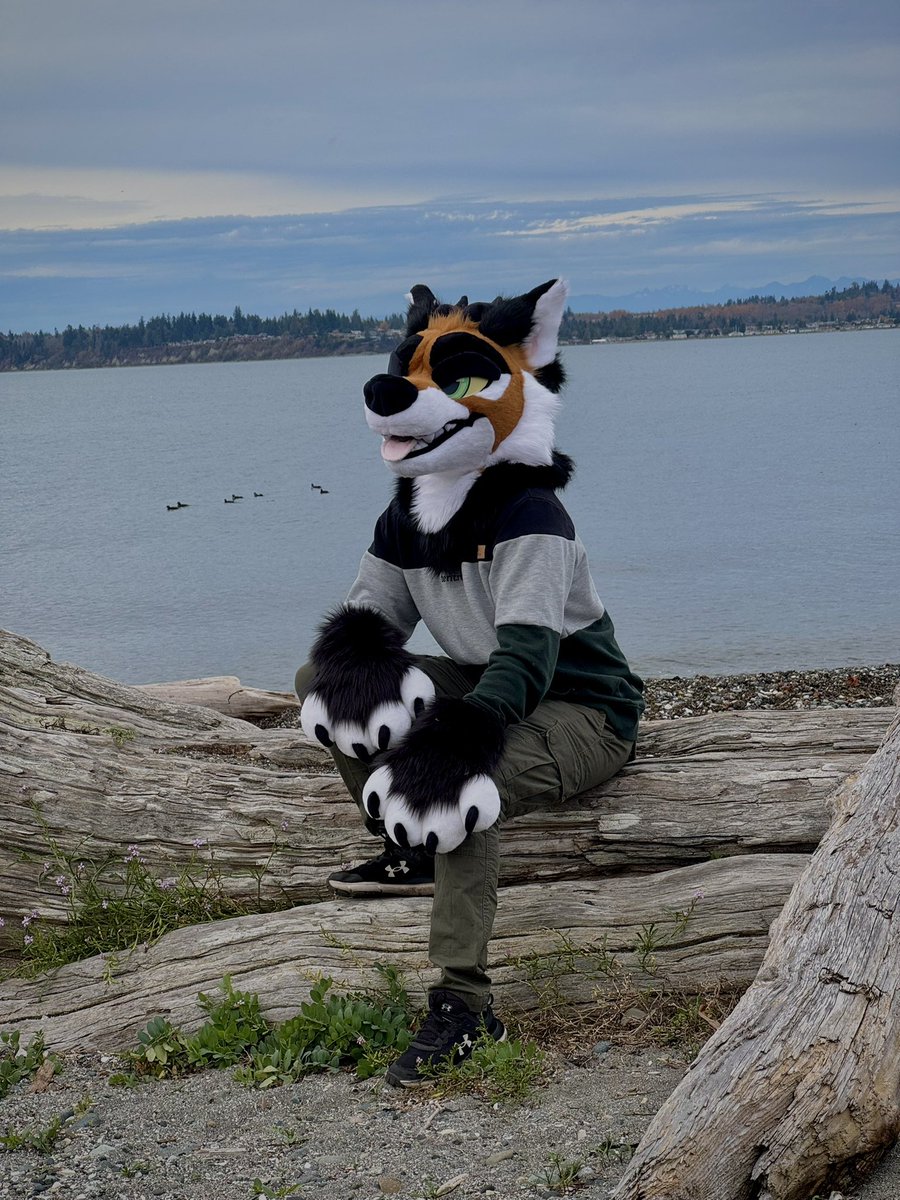 𝘿Σ𝙇𝙏𝘼 🔜 LVFC tweet media