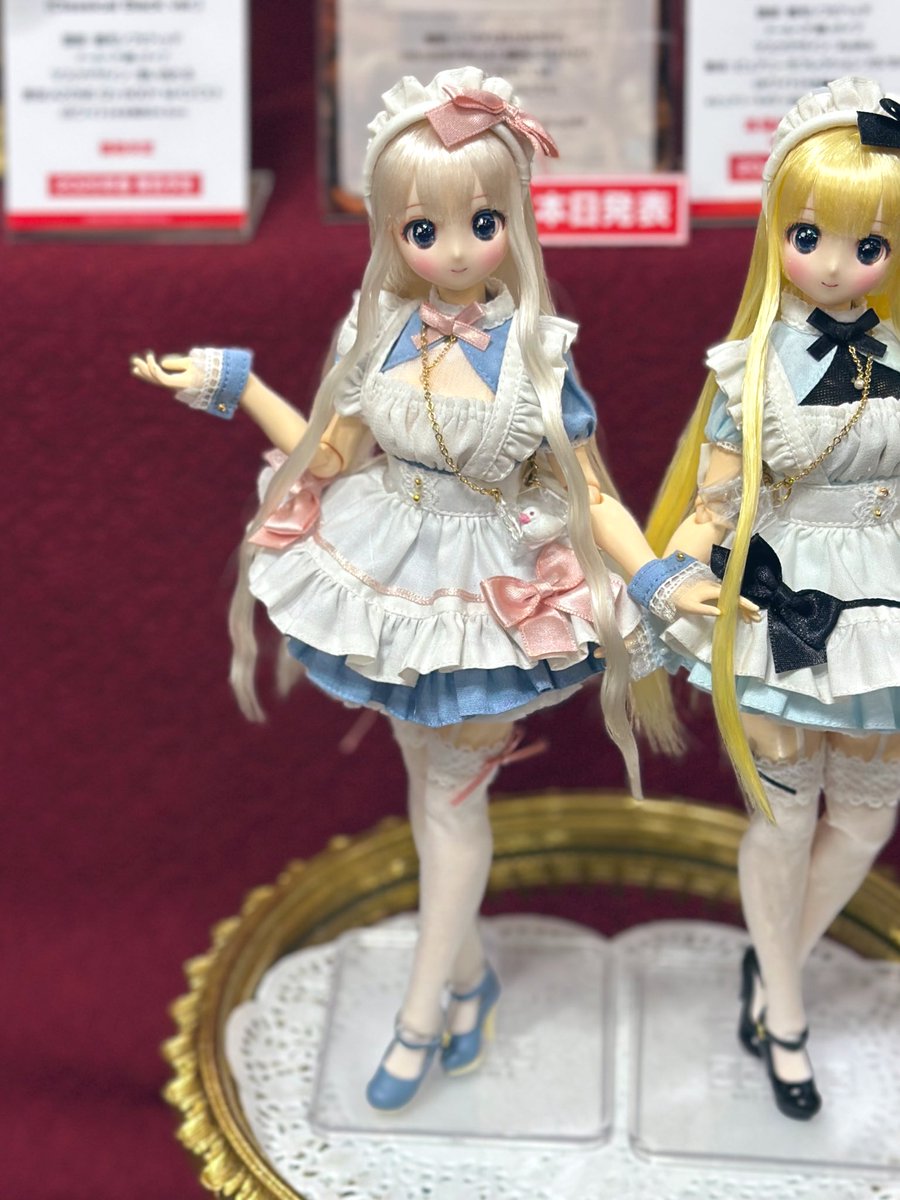 からふるDreamin'】 ☆#アイドール東京 初発表☆ 『葉鳥 ここね in