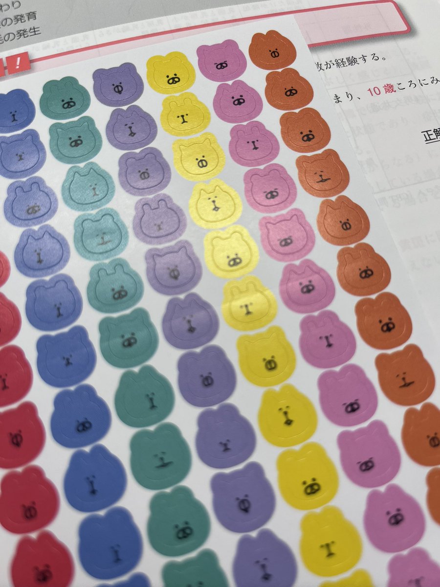 かわいいのGET✨✨ 中だるみしそうになるけど気分上げてこーー