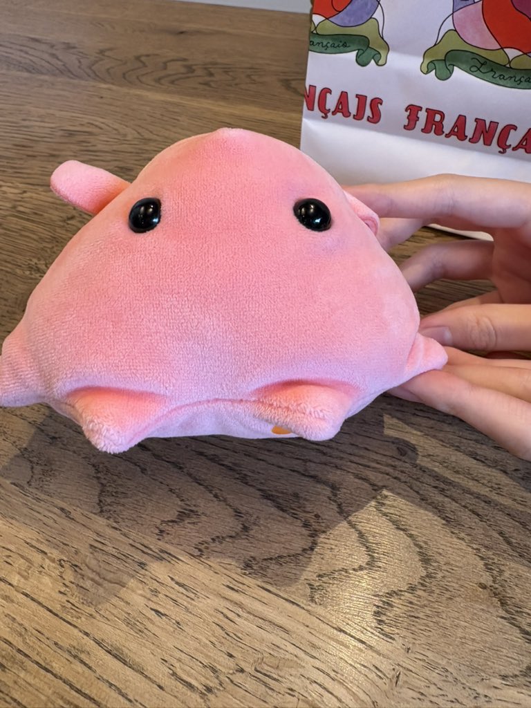 ぽよス (@poyopoyopoyo_s) / Posts / X