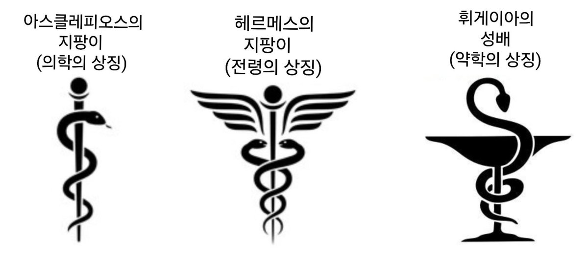 mongpet1357's tweet image. 뱀집사가 말아주는 뱀이 나오는 상징 알쓸신잡