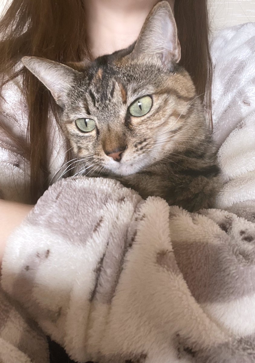 さっちゃん (@toshiakisan1127) / Posts / X