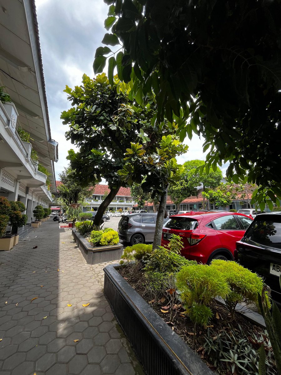 Pratama15_'s tweet photo. weekend" ke kampus,hawanya enak buat cuddle #jogja #jogja24jam https://t.co/Va7JVS0xa4