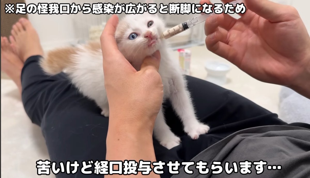 はなざくろ (@hana_zakulo) / Posts / X