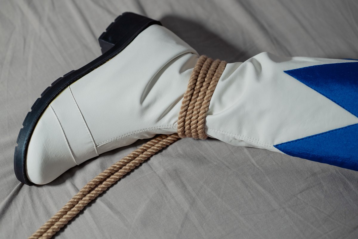 三角龙 tweet media