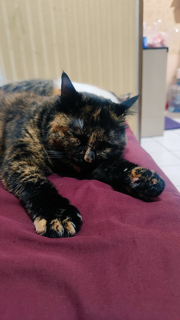 Kegiatan hari minggu