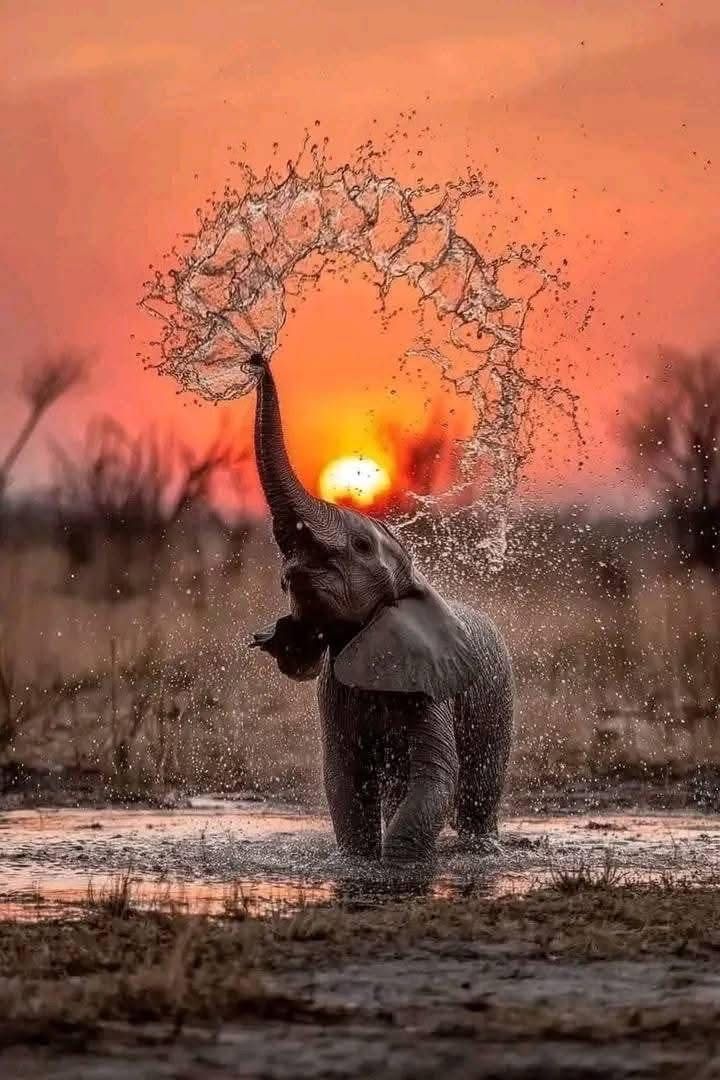 INTRESTINGNATUR's tweet image. 