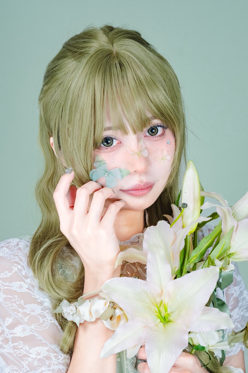 まめねこᓚᘏᗢ (@soycat_mame) / Posts / X