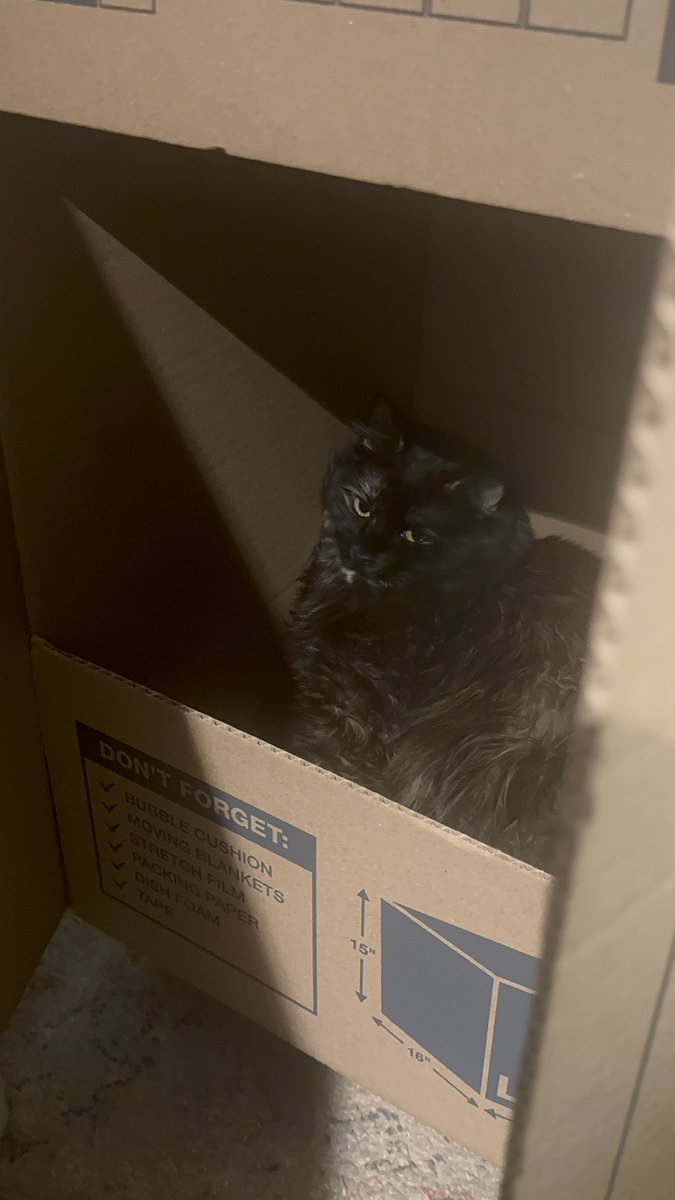 's tweet image. spare kewchie? 🥺 sir? ma’am?