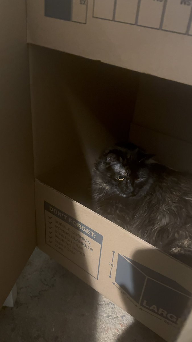 's tweet image. spare kewchie? 🥺 sir? ma’am?