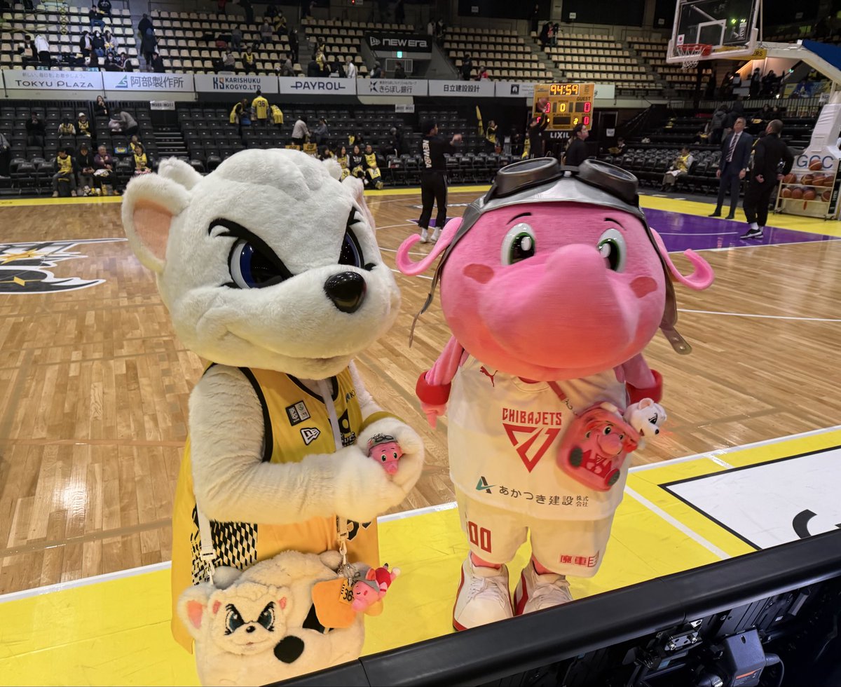 SUNDY MEETS JUMBO🥰 サンロッカーズ渋谷vs 千葉ジェッツ🏀 ジェッツ