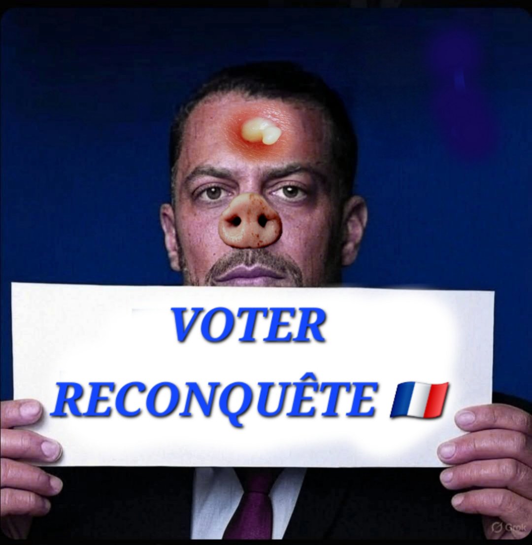 casburettes's tweet image. SANS HÉSITER JE VOTE RECONQUÊTE 🇨🇵