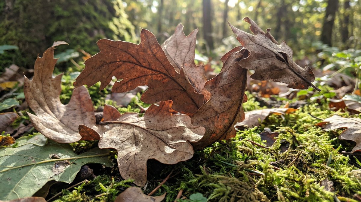 Dragon Leaves: Nature's Artistry Unleashed