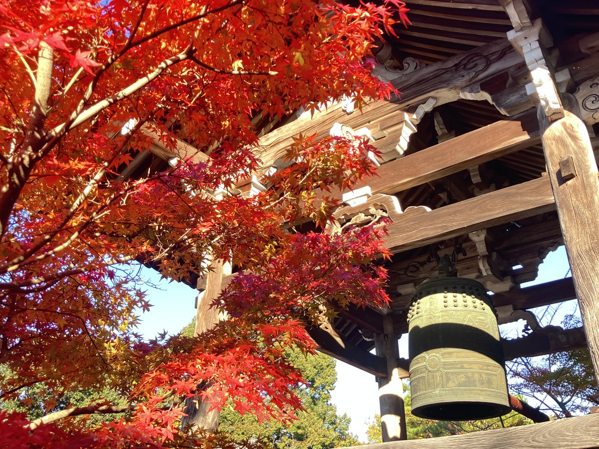 GORO【吾】大一大万大吉 (@NANDEYANENNN2) / Posts / X