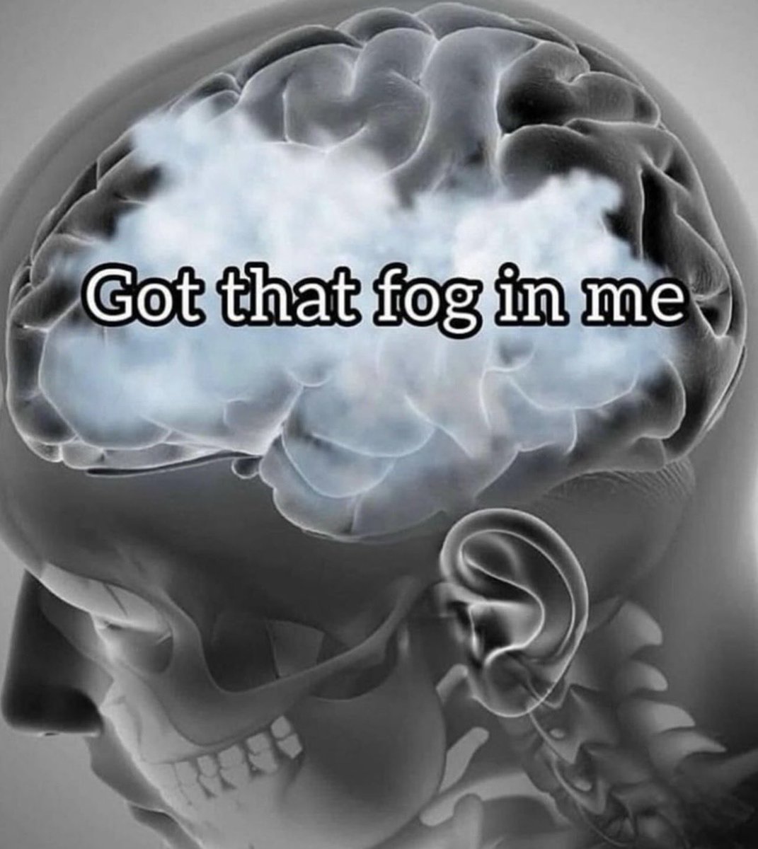 Holy_Caligula's tweet image. 