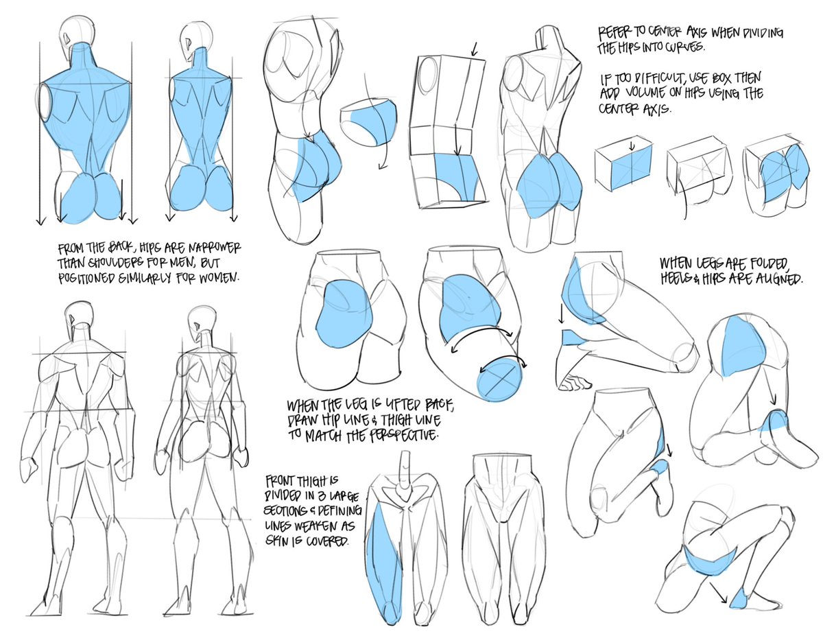 JELLYCAKESpng's tweet image. studies of the lower body 🍑