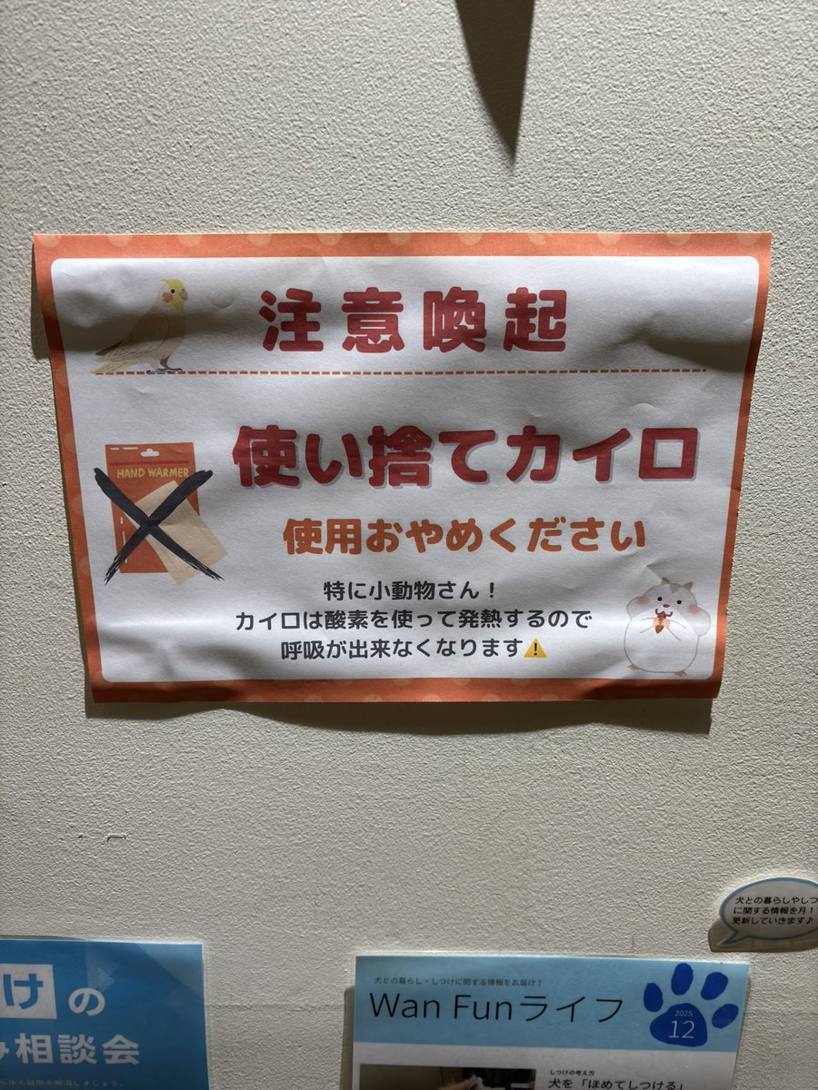 まこ (@makokey0303) / Posts / X