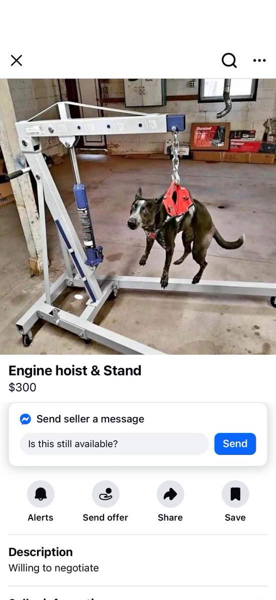 marketplace grail i found today