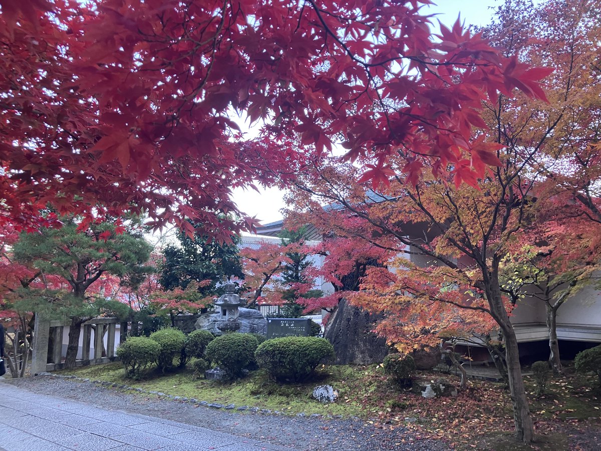 GORO【吾】大一大万大吉 (@NANDEYANENNN2) / Posts / X