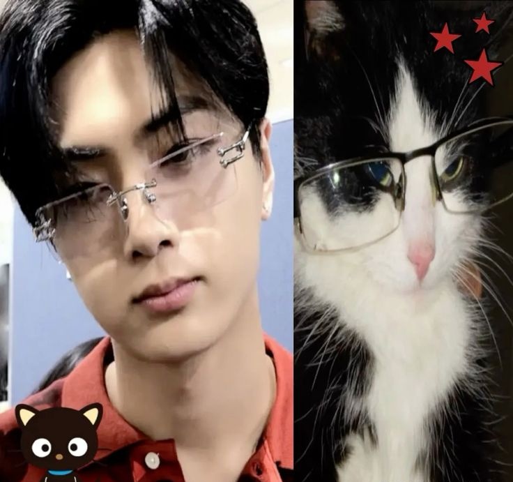 ˗ˋ joha ; jaypril ⁷ tweet media