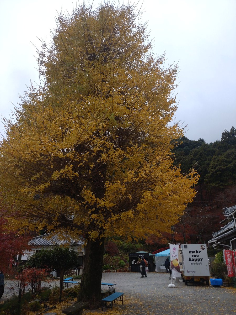 opa165's tweet photo. 今日も会えるの楽しみだね。
ミーグリ前に、姫奈オススメの芋ひささんでアイスクリームとスイートポテト買っていったけど
美味しかったよ✌

#hinadanitalk https://t.co/w5MxNkTCBa