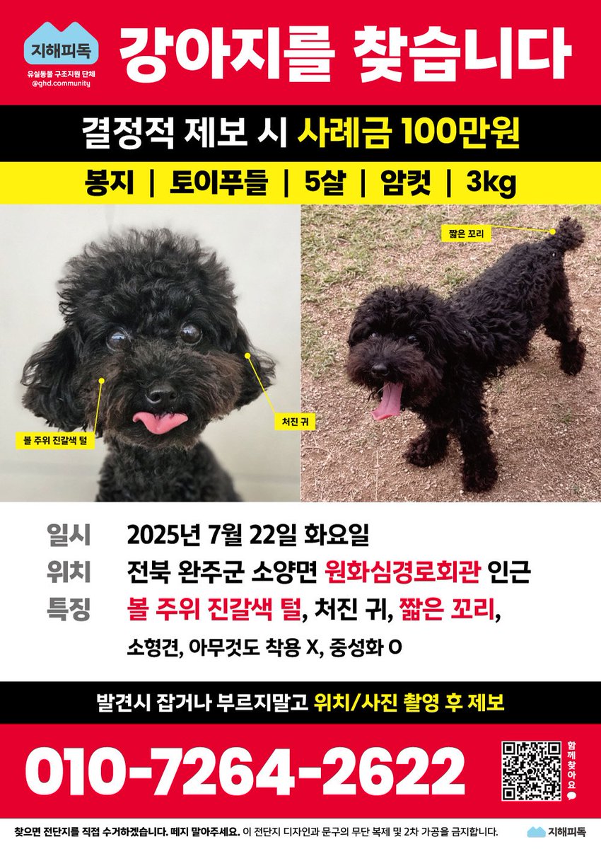 nomorelostpets's tweet photo. https://t.co/h8KTfB90nY
봉지를 찾고 있습니다...완주군 계신분들 부디 관심 가져주세요! https://t.co/CZIU2sjdnN