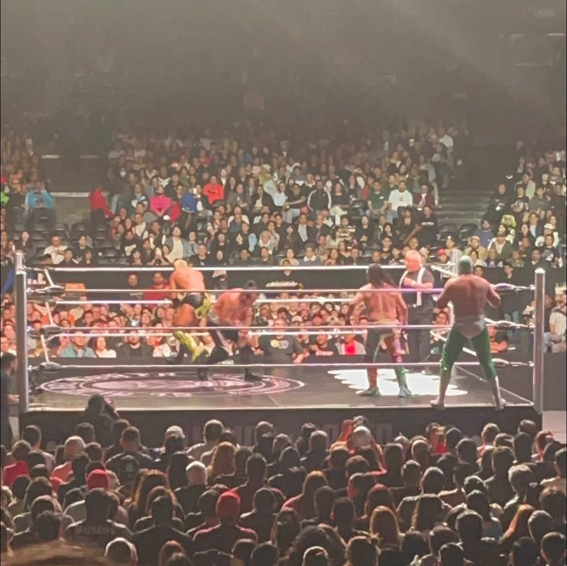 LaTijeraLucha's tweet photo. En un triangular de parejas, #ReyMictlan y #BobyLeeNG caen ante #Psicosis y #JuventudGuerrera,en dicha batalla también participaron los exóticos #DivaSalvaje y #Mamba en un gran ambiente en el Palacio de los Deportes,que vibra ante la despedida del #HijoDelSanto...
#latijera https://t.co/fkGmkZk48y