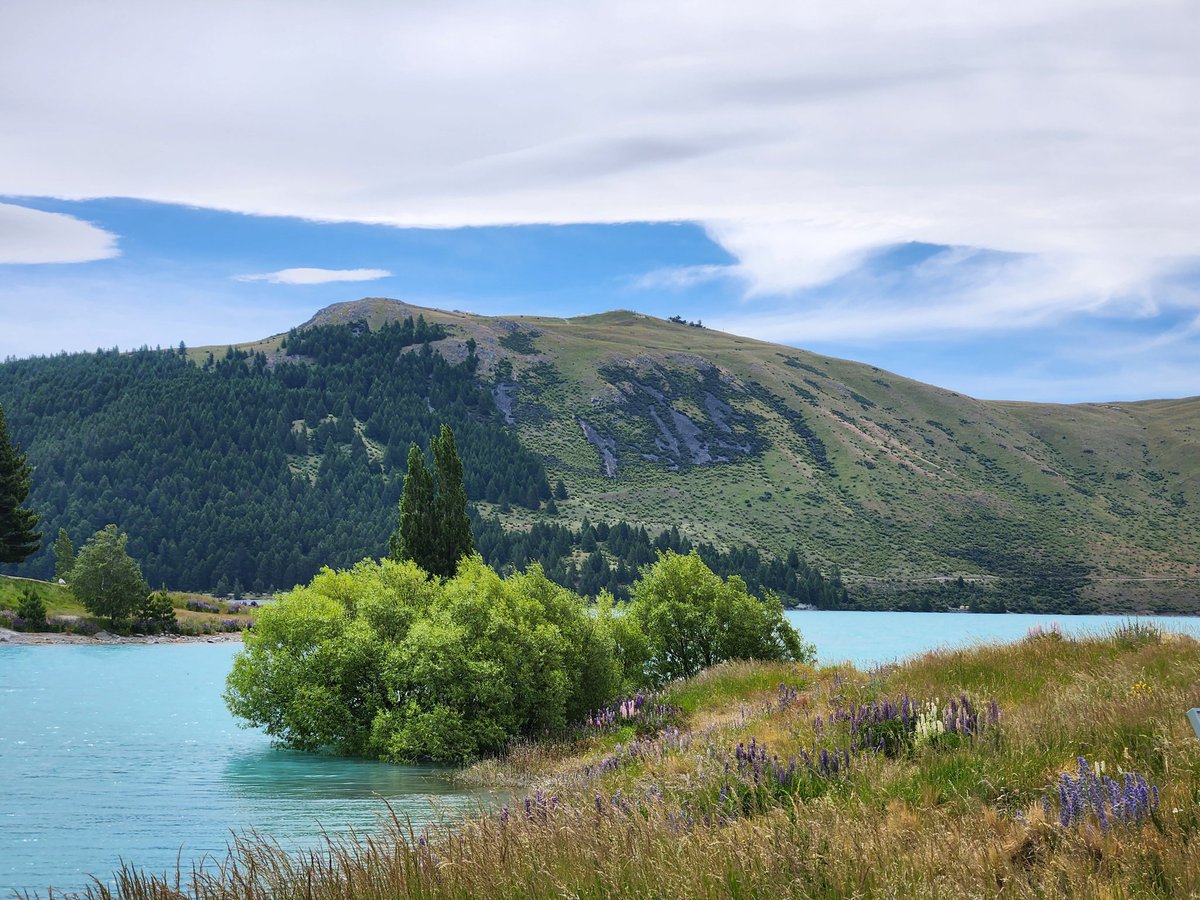 24 hrs of traveling later... made it to Middle Earth 👌🏽