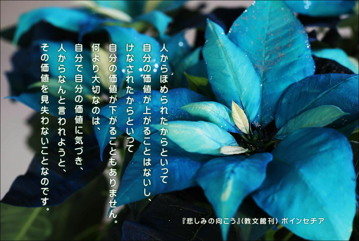 �\�[�V�����}�K�W���w�R�X���f�B�A�h�b�g�R��!!�x:�ŐV���𐏎��X�V��!!