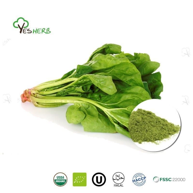 AnYuensun's tweet image. Lifewe Spinach Powder is partly water-soluble and packed with natural nutrients, perfect for food supplements, smoothies, and superfood products. Add vibrant green goodness to your recipes and boost daily wellness! #Lifewe #SpinachPowder #Superfood #FoodSupplements