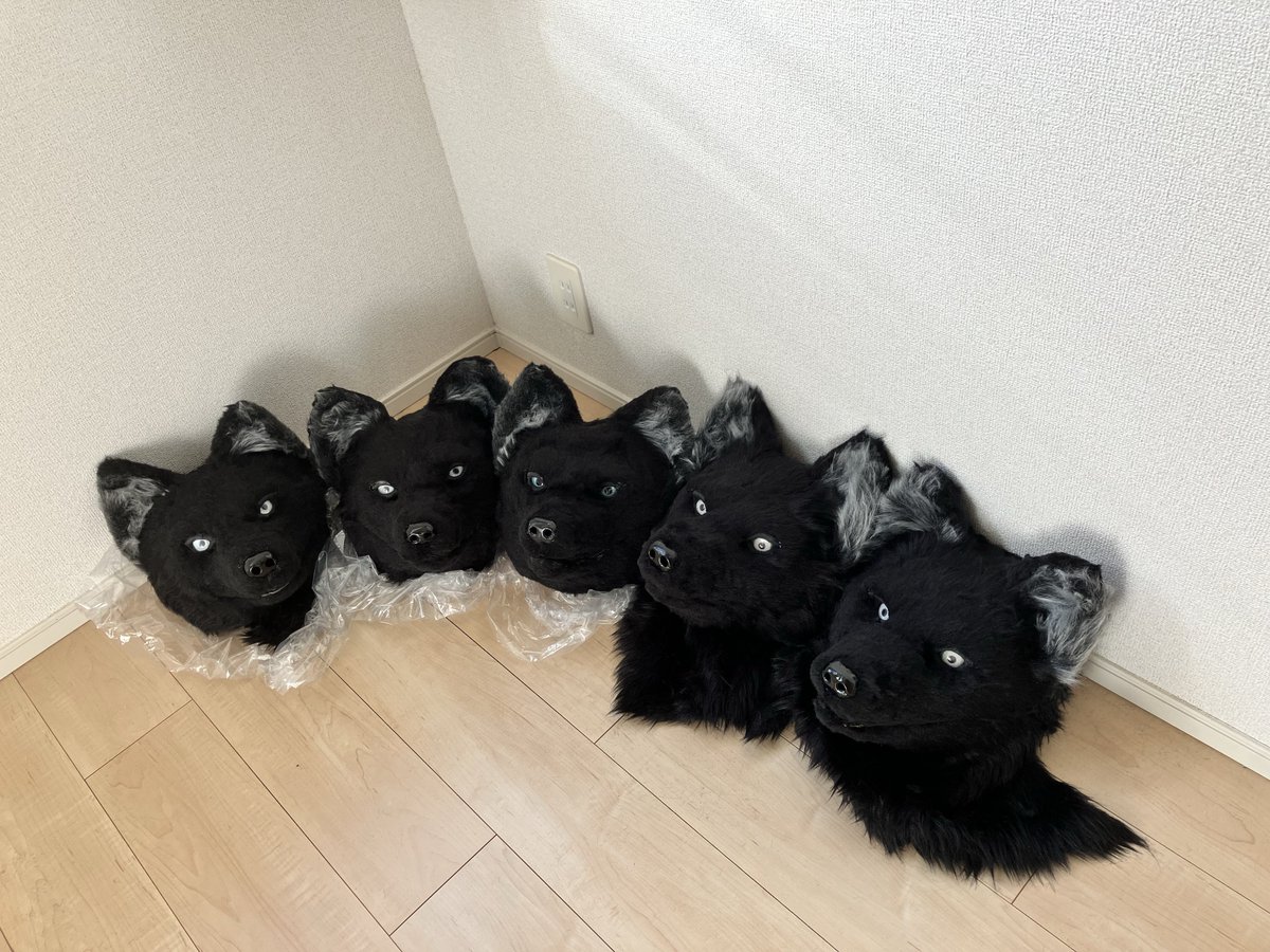 みかん犬🍊🍊 (@tag7master) / Posts / X