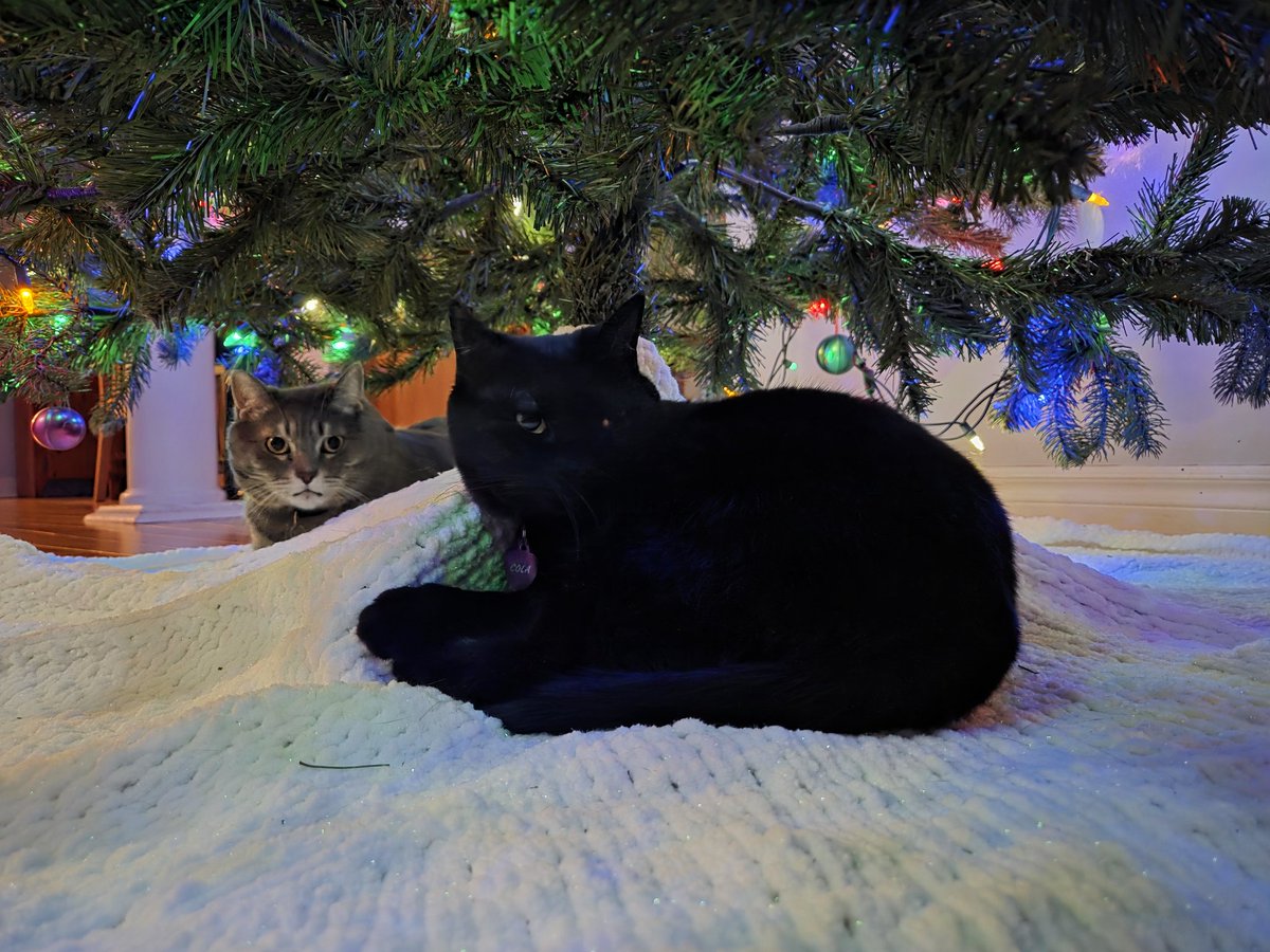 Xhex Symphath RP tweet media