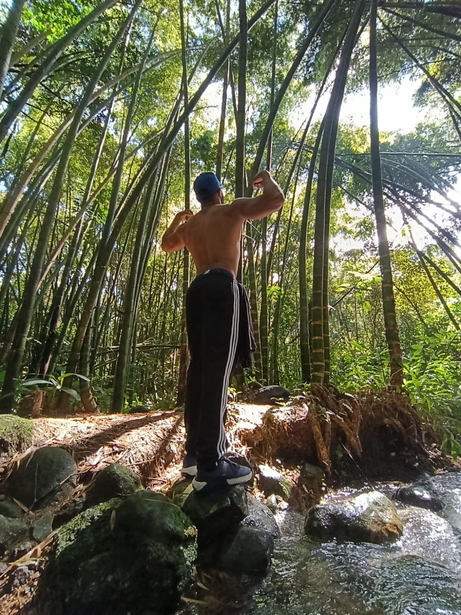LoganSimonsF4F's tweet photo. 🦍💦
#NaturePhotography #MODELSCRUSH #TOP https://t.co/izbUiEsGTx