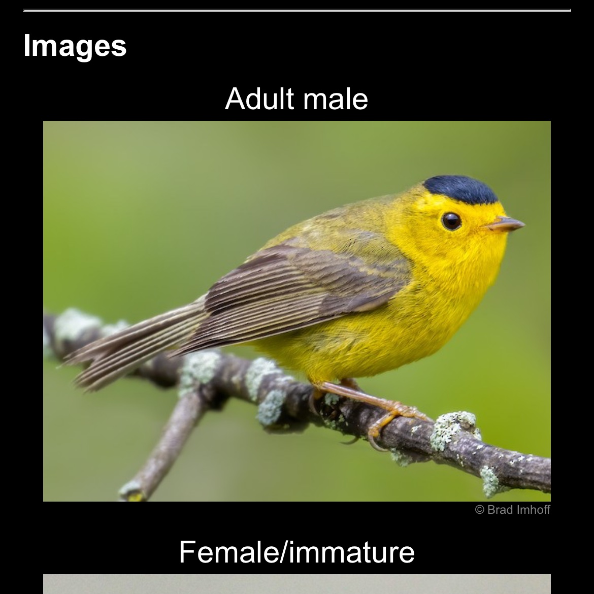 thinkagainer tweet media