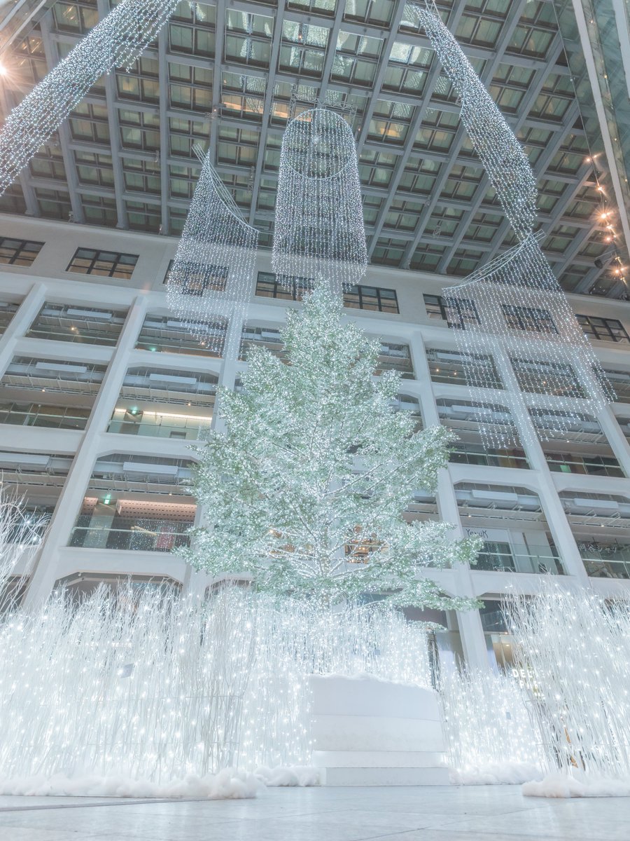 CHIKA ꕤ︎︎【Photo】 (@chi_ka_photo) / Posts / X