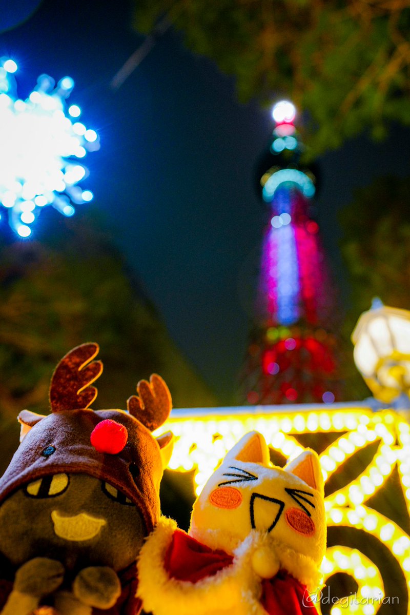 クロ、見てみて！キラキラのクリスマスツリーがあるニャ。 あ、あっち