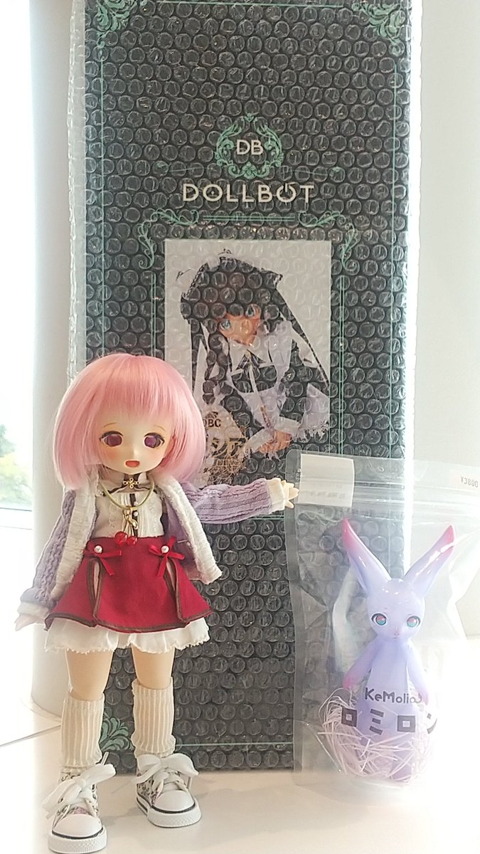 パッカペシュウ (@Ydc7giJVhN54315) / Posts / X