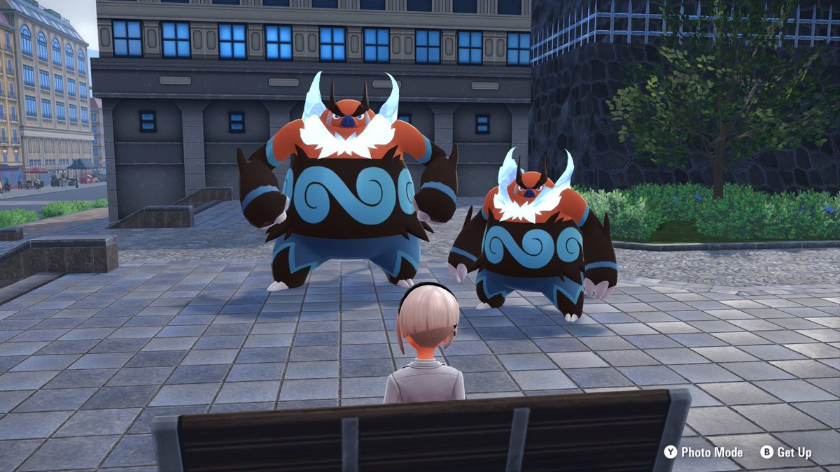 Maple🪶 tweet media