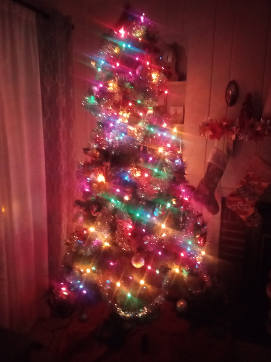 OmarQuince's tweet photo. I Have Put Up My Christmas Tree. https://t.co/mpDPyLGNMX
