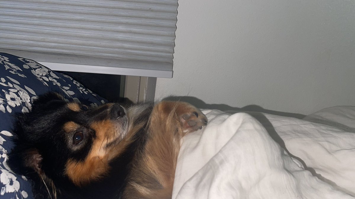 ♡ Weeaboothot ♡ tweet media