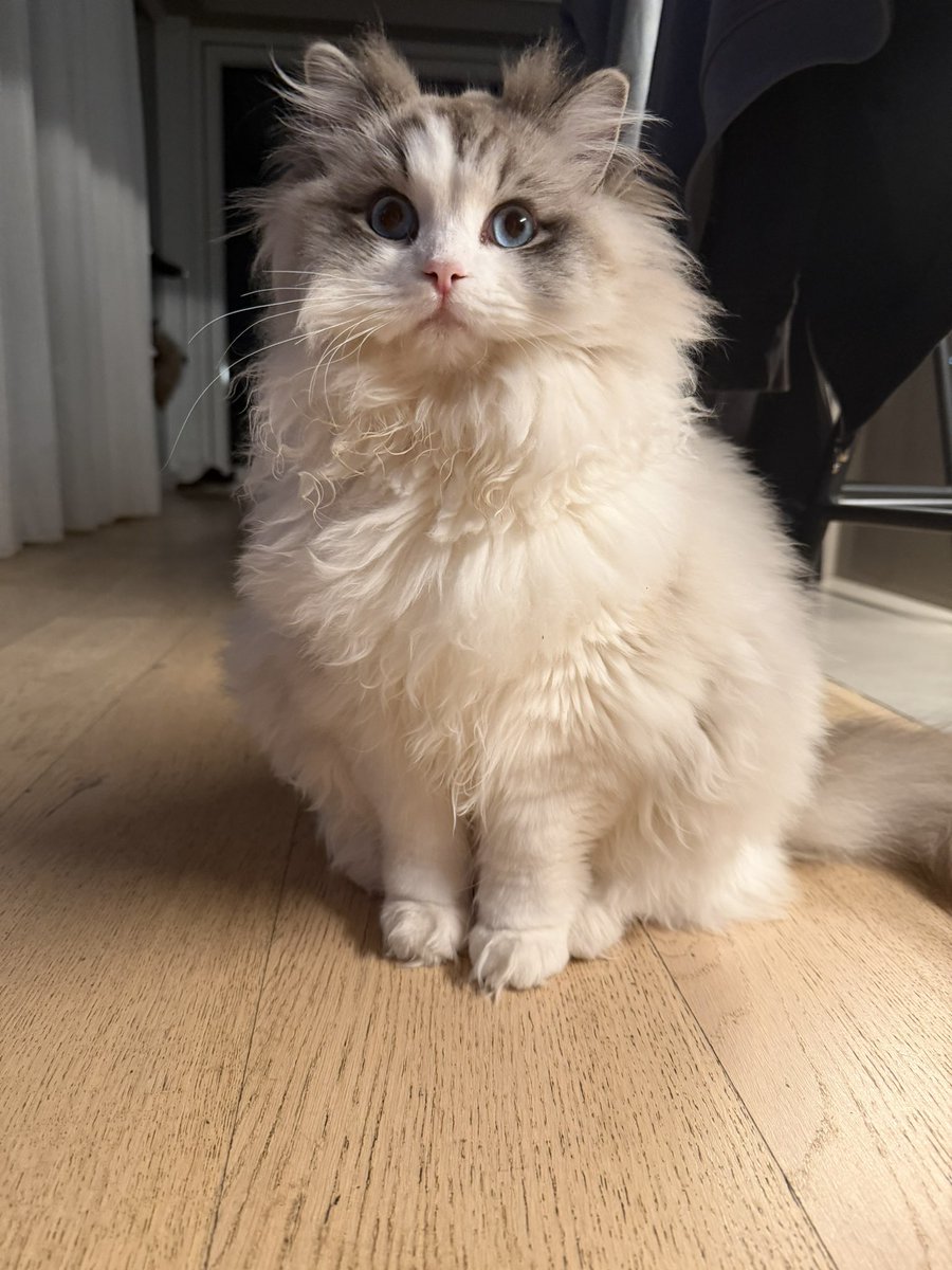 there are zero thoughts within this orb