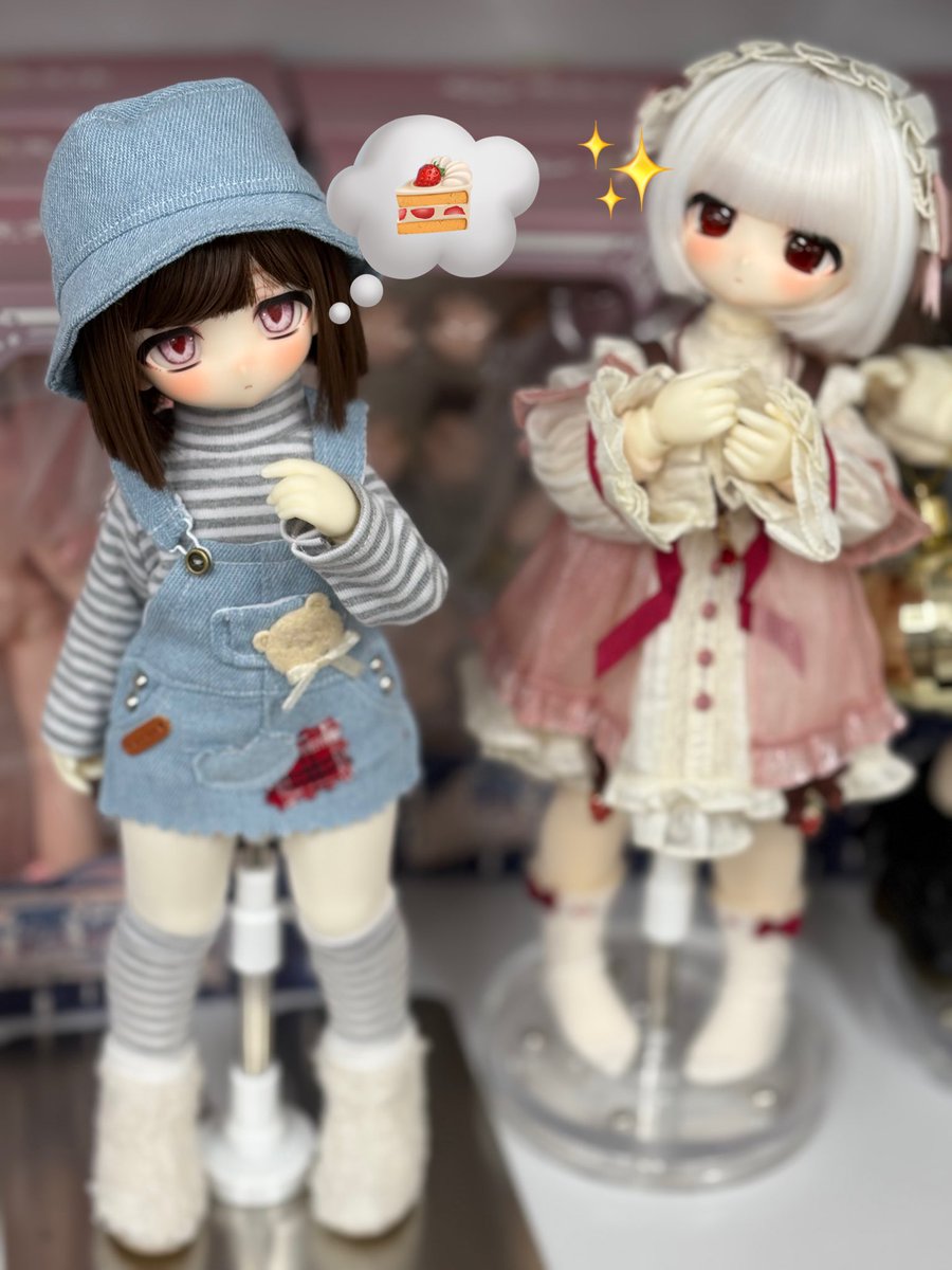 📣お迎え待ちドール紹介💫】 大人気ドールメーカー《TinyFox》の莓莉安