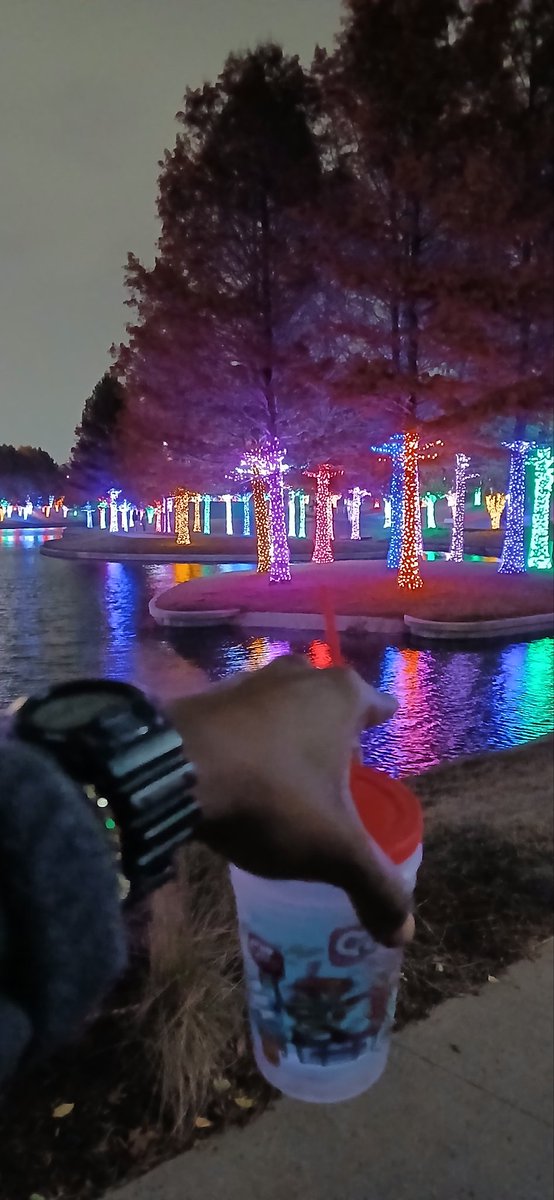 🎄...دواين  تعالى إلى دبي