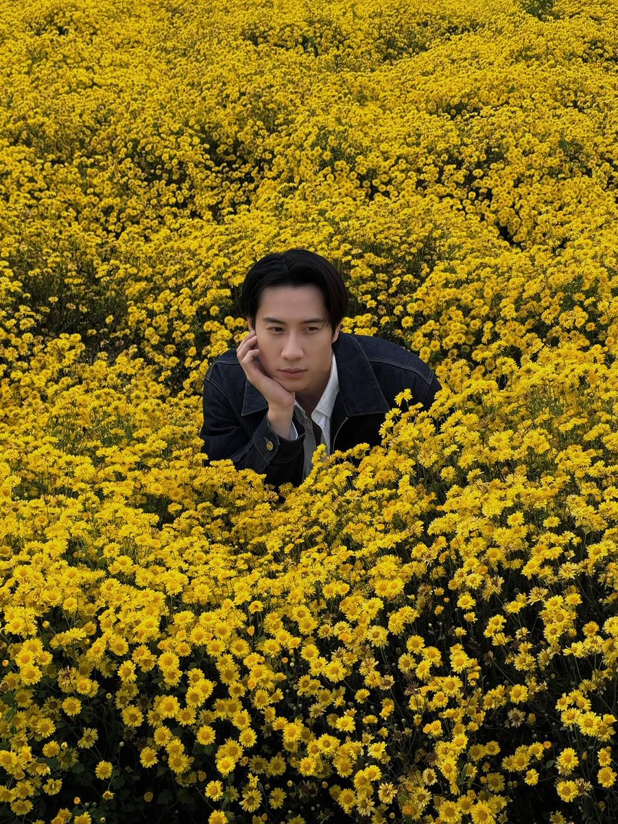BrightrppBrasil's tweet photo. 📸(14.12.25) amamos muito!
nosso príncipe acabou de atualizar seu feed no Instagram (@/brightrpp), com um novo carrossel de fotos no meio das plantas Crisântemo. 💛

#brightrpp #ไบร์ทรพีพงศ์
#BrightRapheephong
#SOLBright ☀️ https://t.co/iATaK6Mivb