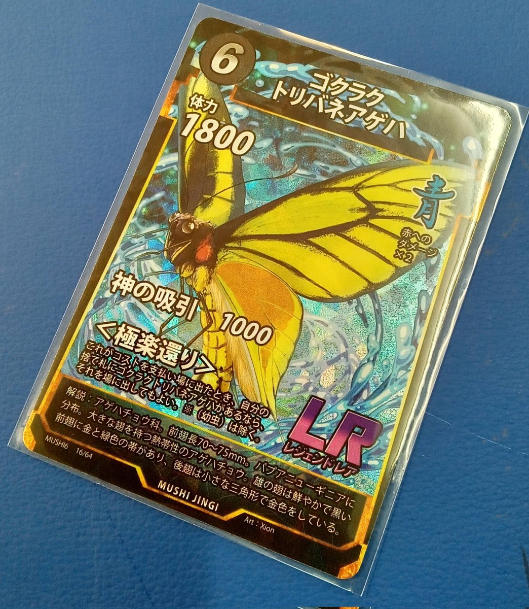 ゴクラクトリバネアゲハ》入荷しました！ 蟲神器シングル取り扱って