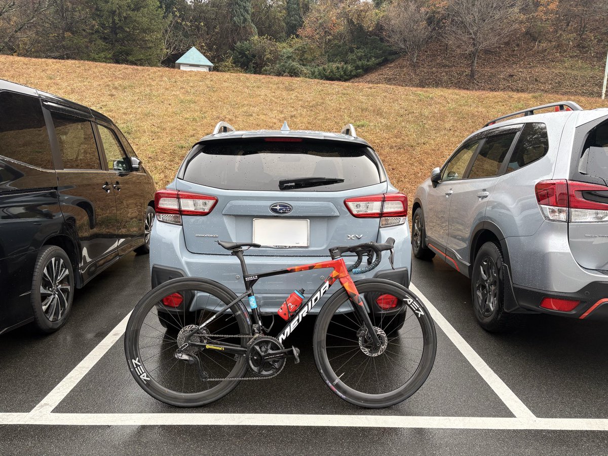 みらくる tweet media