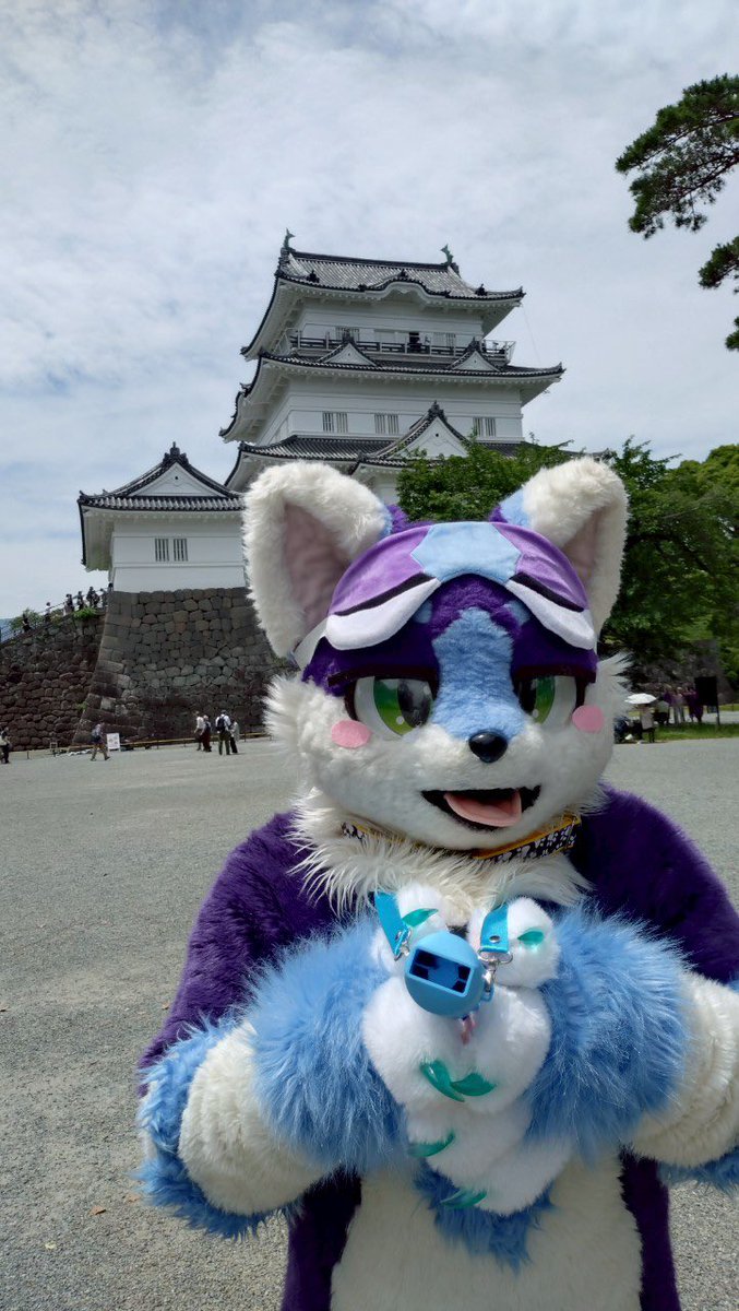 KOMEKOMEページ かめかめ (@kamekame_kemo) / Posts / X